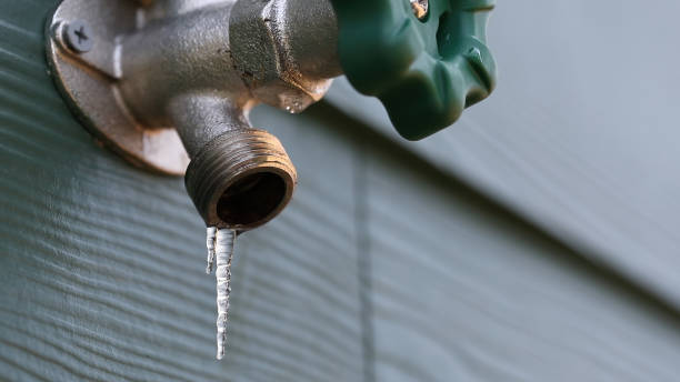 Best Local Plumber Services  in La Homa, TX