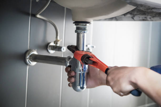 Best Residential Plumbing Services  in La Homa, TX
